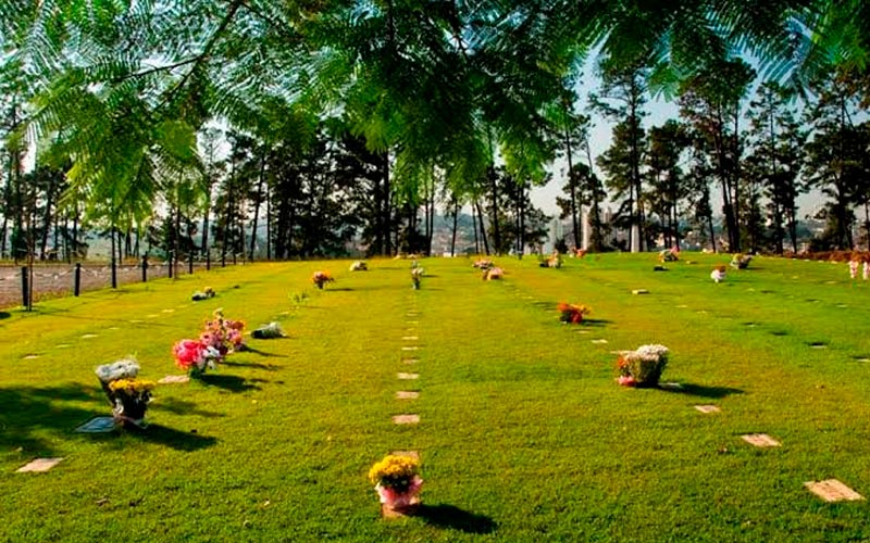 floricultura-cemiterio-parque-dos-pinheiros