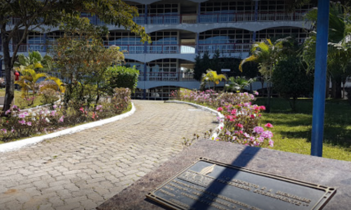 coroa de flores cemitério vertical memorial guarulhos