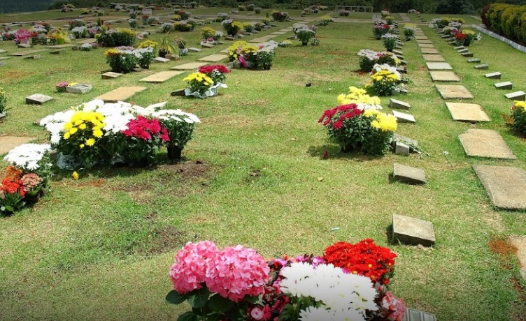 floricultura cemitério colina dos ipes