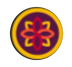 Coroa de Flores Brasil